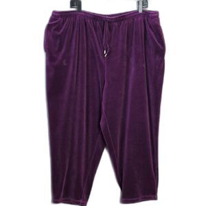Bechamel Purple Velour Pull On Pants Elastic Waist Pockets Women's 2X